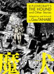 Cover 55011