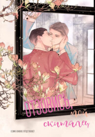 Cover 55045