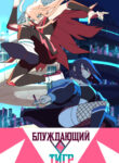 Cover 55049