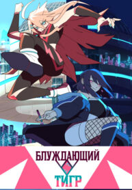Cover 55049