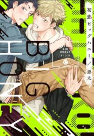 Cover 55117