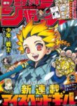 Cover 55119