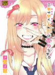 Cover 55129
