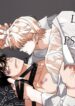 Cover 55131