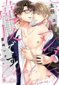 Cover 55133