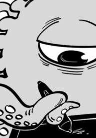 Cover 55145