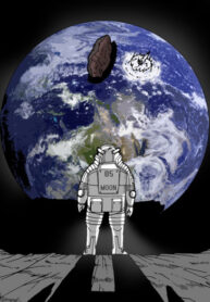 Cover 55177