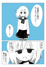 Cover 55241