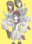 Cover 55249