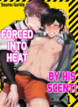 Cover 55285