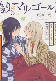 Cover 55337