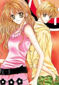 Cover 55395