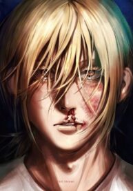 Cover 55405