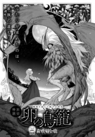 Cover 55421