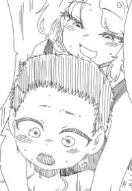 Cover 55437