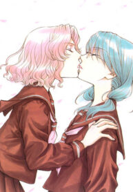 Cover 55497