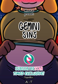 Cover 55520