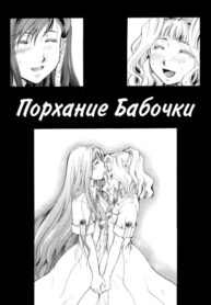 Cover 55575