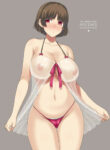 Cover 55587