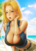 Cover 55597