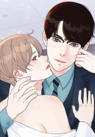Cover 55668
