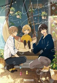 Cover 55678