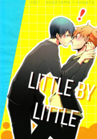 Cover 55735