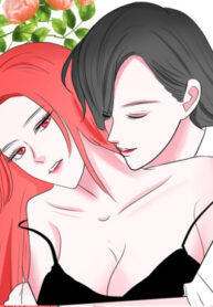 Cover 55746