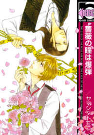 Cover 55754