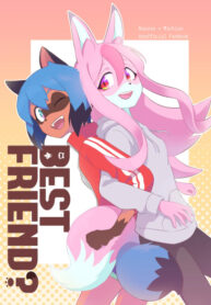Cover 55804