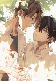 Cover 55806