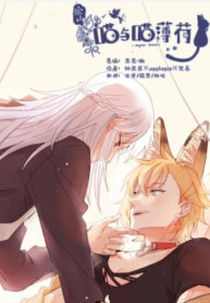 Cover 55841