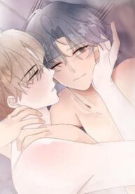 Cover 55851