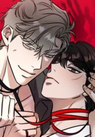 Cover 55856