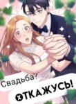 Cover 55912