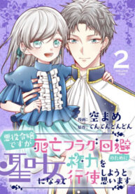 Cover 55993