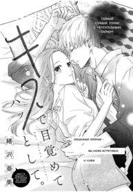 Cover 56035