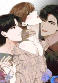 Cover 56217