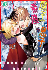 Cover 56335