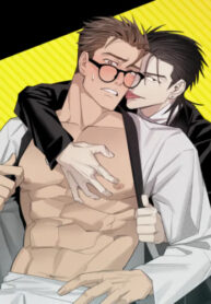 Cover 56358
