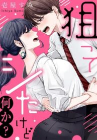 Cover 56378