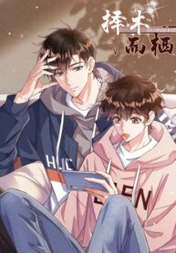 Cover 56433