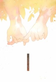 Cover 56437