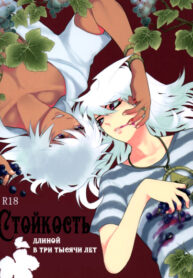 Cover 56513