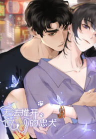 Cover 56516