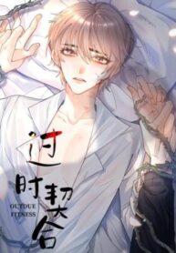 Cover 56517