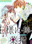 Cover 56520