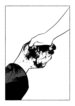 Cover 56853