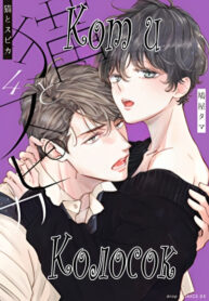 Cover 56913
