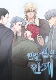 Cover 57255